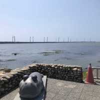 高美野生濕地保護區