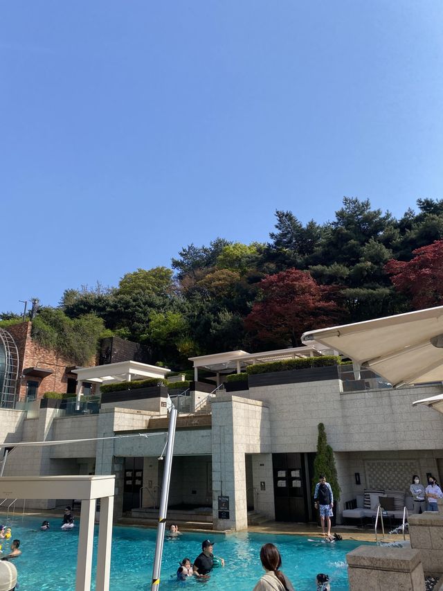 가을🍂에 적극 추천하는👍🏻 <신라호텔>✨