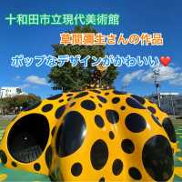 【青森県】2023年　弘前や十和田のおすすめスポットとグルメ