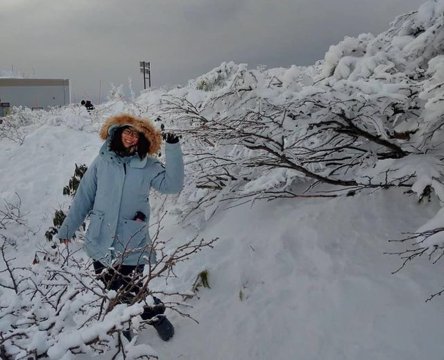 日本東北雪季奇景，山形縣藏王冰樹