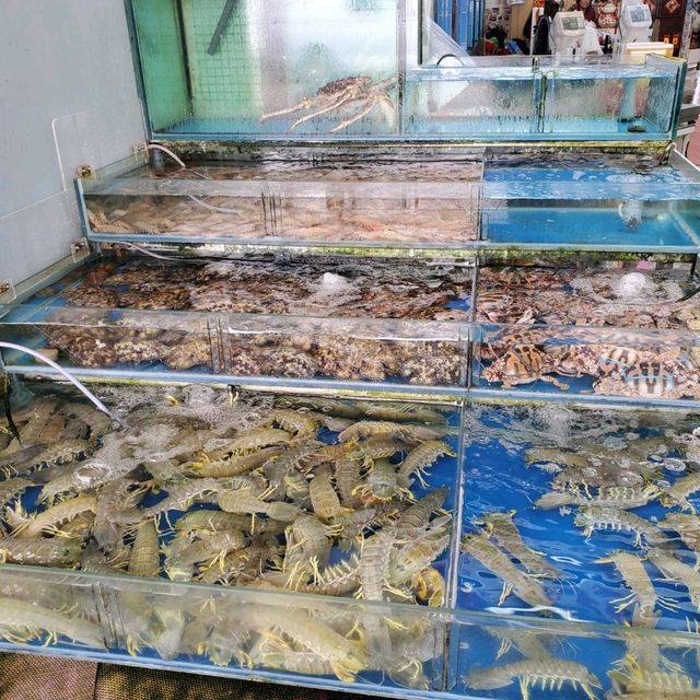 嘩！游水海鮮種類多，好正呀喂~
