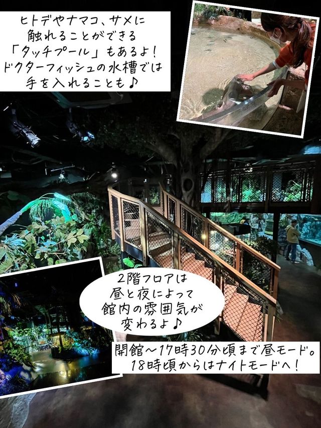 バーチャルとリアルが融合した水族館