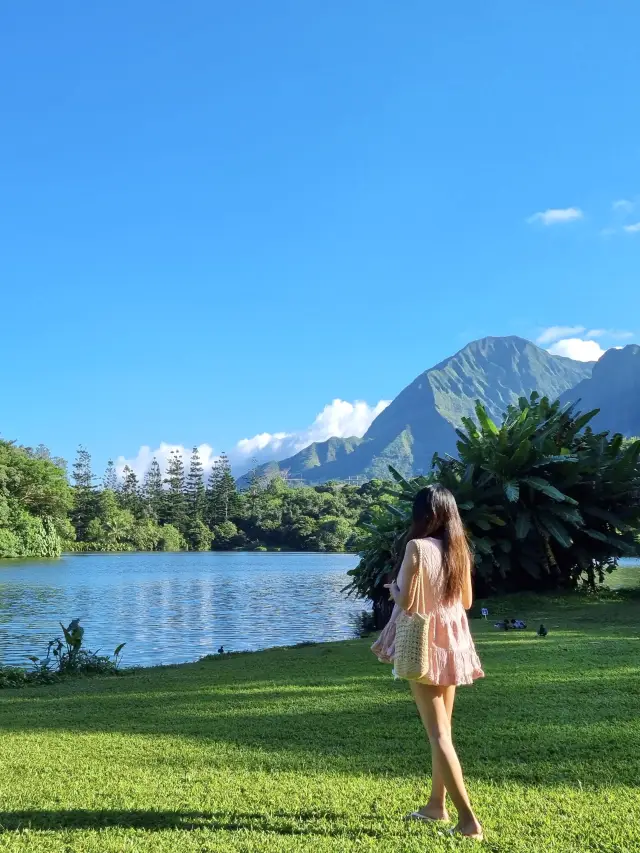 하와이 최대 수목원 호오말루히아 보태니컬 가든🌳🍃