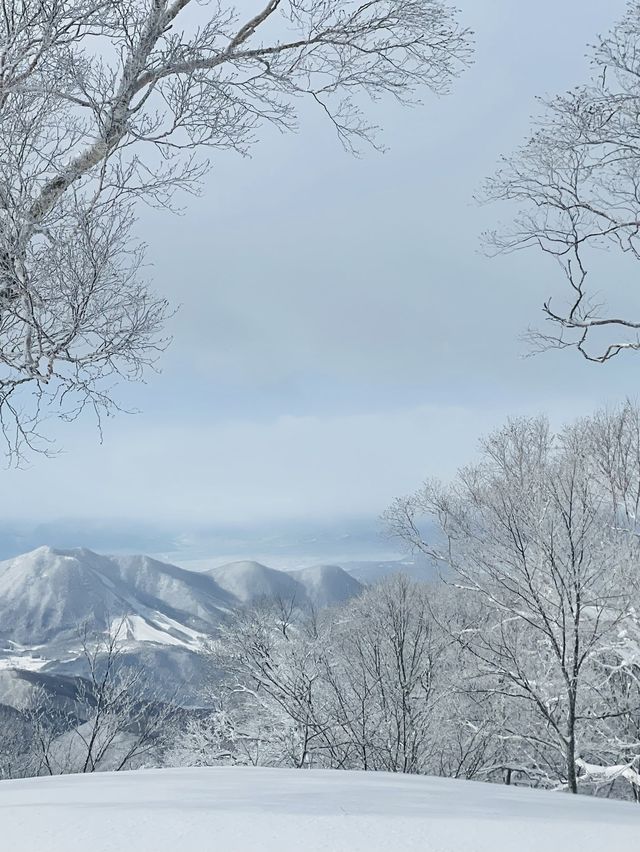 野澤百年溫泉小鎮滑雪