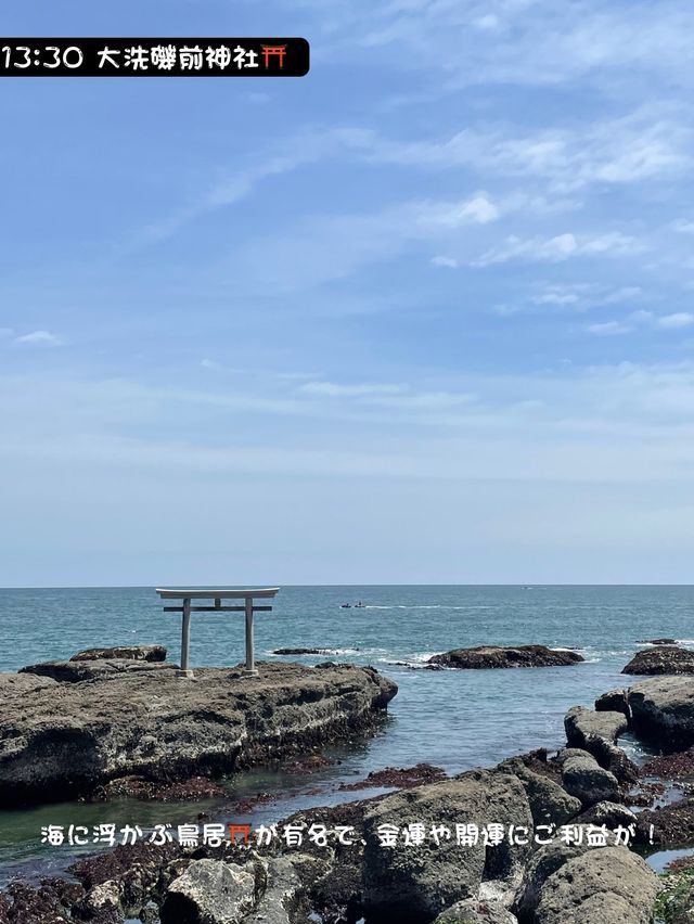 【茨城】車🚗で行く、おすすめの日帰り茨城旅👣