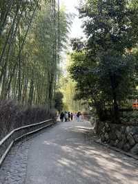 Arashiyama