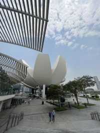 Art Science Museum มิติใหม่แห่งการชมพิพิธภัณฑ์