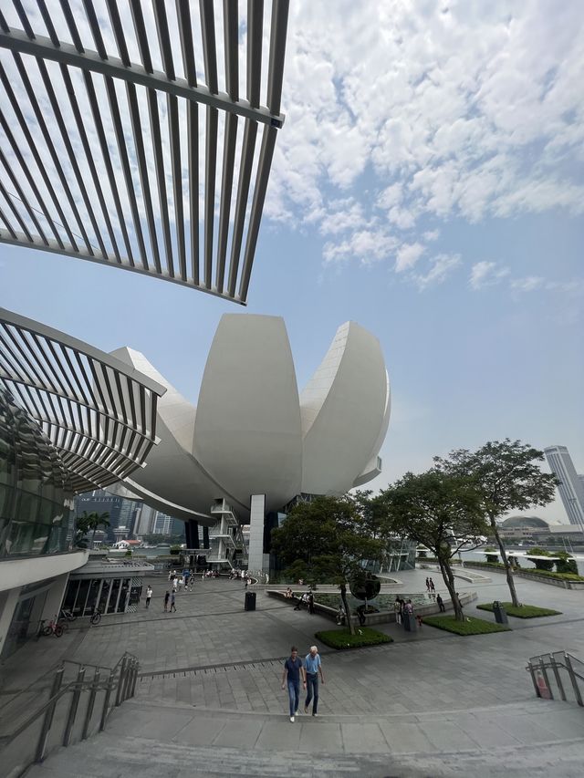 Art Science Museum มิติใหม่แห่งการชมพิพิธภัณฑ์