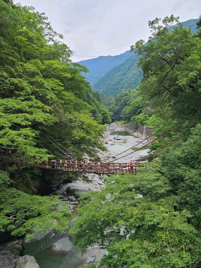 【徳島】秘境の祖谷にあるかずら橋