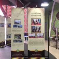 The Culture Exhibit