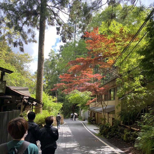 夏は涼しげな貴船神社へ