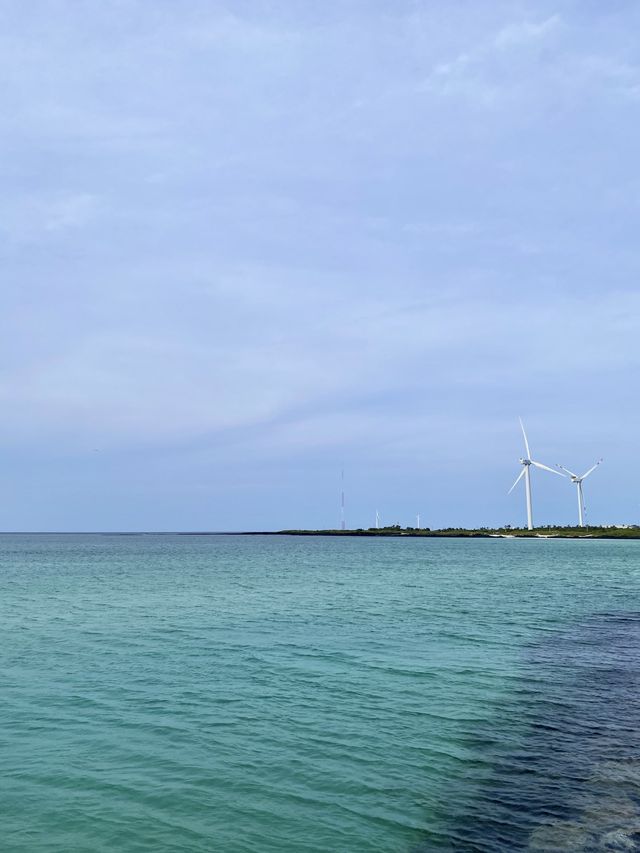 바다색이 에메랄드 색인 김녕해수욕장🌊😇