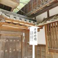 金閣寺周辺おすすめグルメ４選