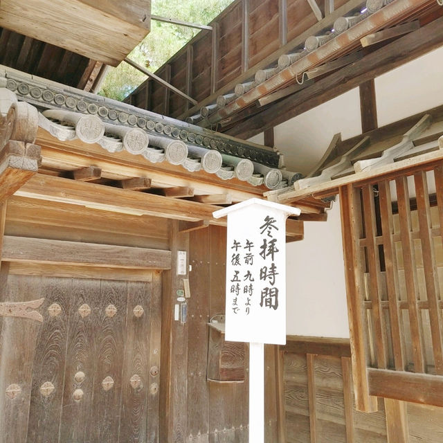 金閣寺周辺おすすめグルメ４選