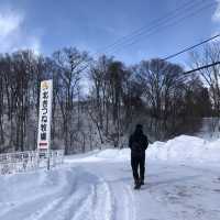 北海道北見🦊近距離親親狐狸牧場