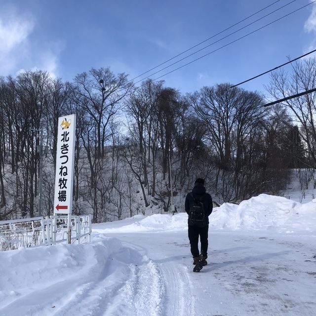北海道北見🦊近距離親親狐狸牧場
