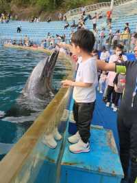 深圳野生動物園：瞬間拉近野生世界與人的距離