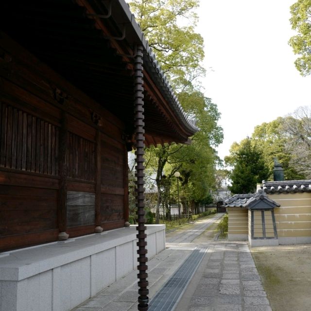 두근두근여름휴가 일본 후쿠오카 사찰 여행 Shofukuji 聖福寺