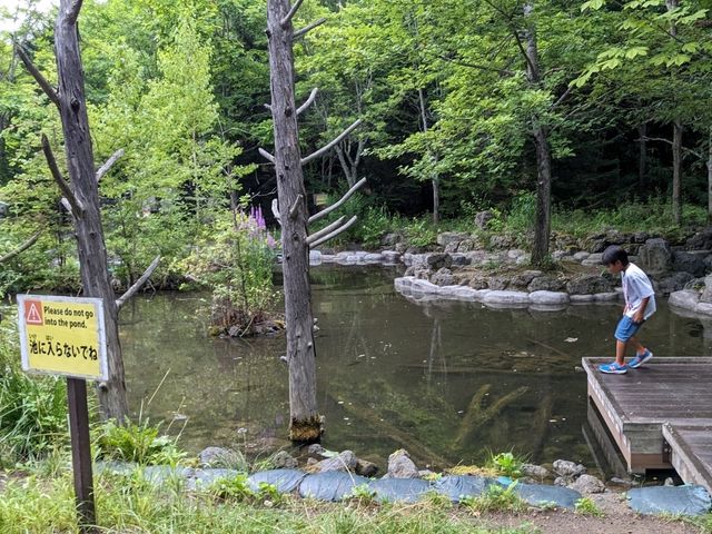 【親子で楽しい大きい公園】北海道　滝野すずらん丘陵公園