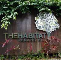 Don’t Miss This Side of Penang