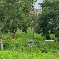 南江水岸廣場 🌱
