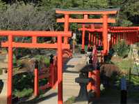 高山稻荷神社：美景，特色鳥居，適合任何時間和場景