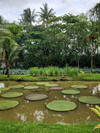 Ho Chi Minh City's Charm!