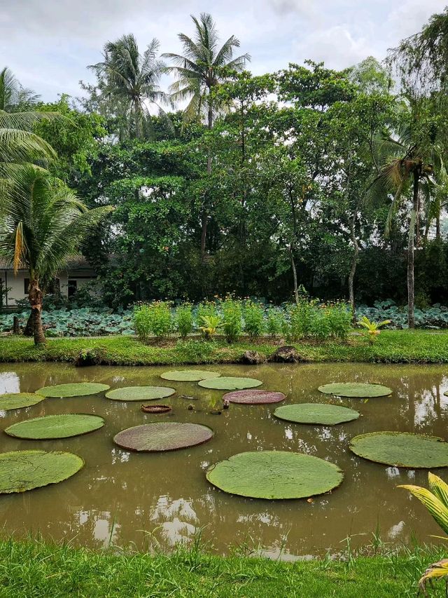 Ho Chi Minh City's Charm!