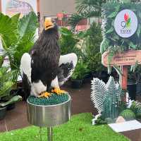 งาน IntoTheWoods JungleCalling
