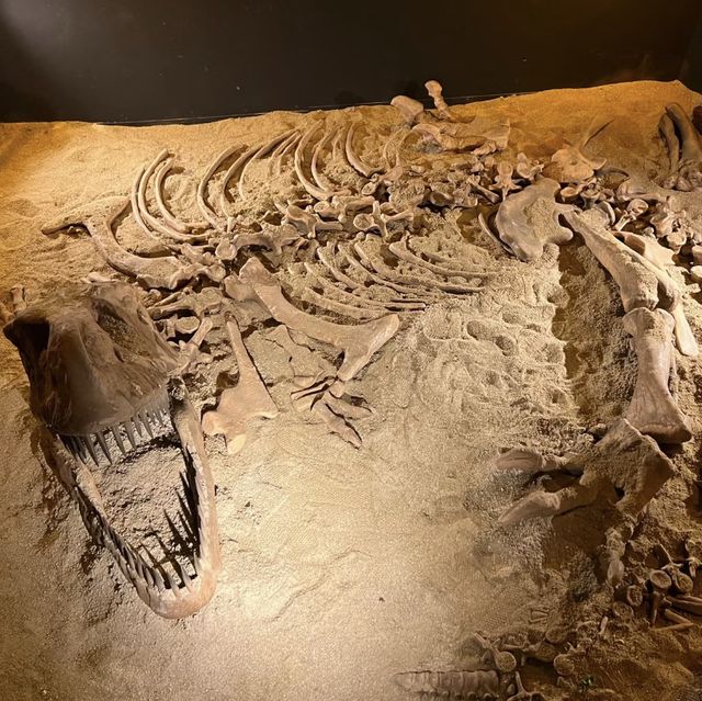 追尋史前之謎！揭開科學探索中心🦖🌋🔍