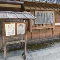 京都のハロウィンはお狐様！英語・中国語・韓国語パンフレットや看板も完備