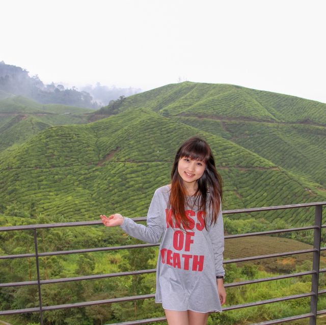 Breathtaking Tea Plantation