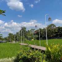 PADIKU Eatery & Coffee