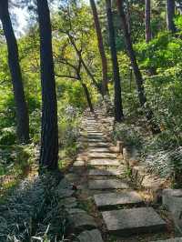 도심 속 나의 작은 별장, 서울 석파정