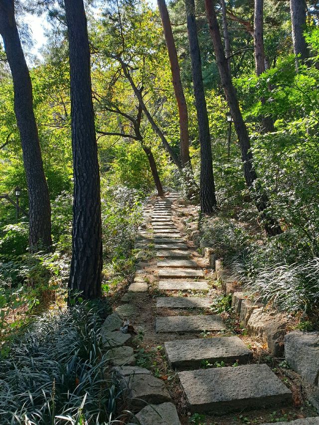 도심 속 나의 작은 별장, 서울 석파정