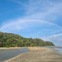 Clean sandy beach with sea creatures