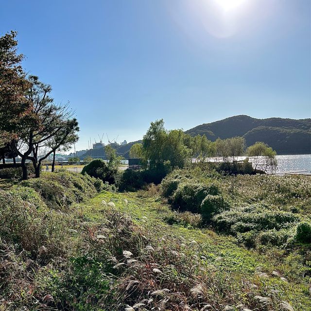 서울근교 호수공원, “용인기흥호수공원”🩵