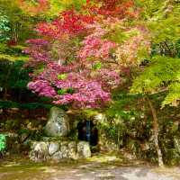 Autumn Splendor at Eigen-ji Temple