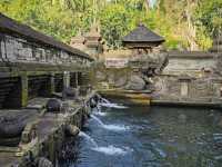 Purify at Tirta Empul