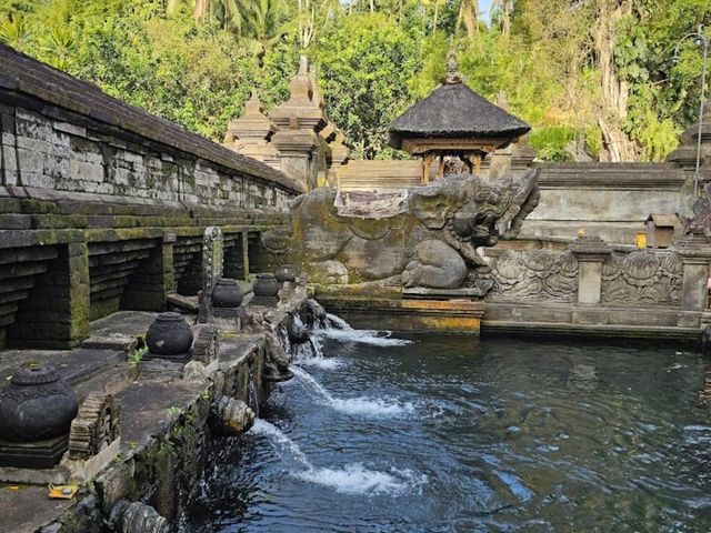 Purify at Tirta Empul