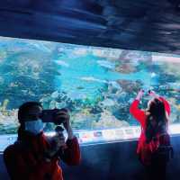 Farglory Ocean Park-Hualien