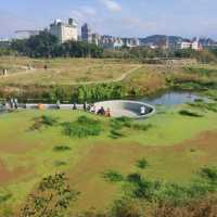 白天傍晚不同的美-雙溪濕地公園
