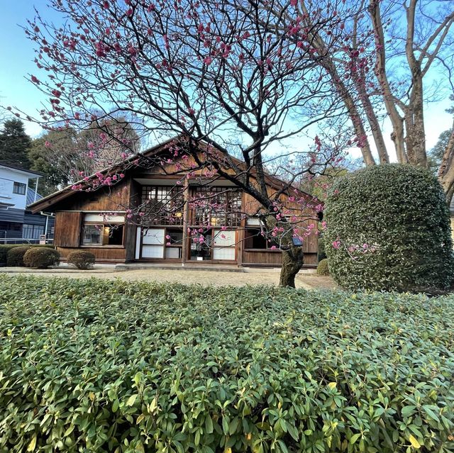 江戸東京たてもの園
