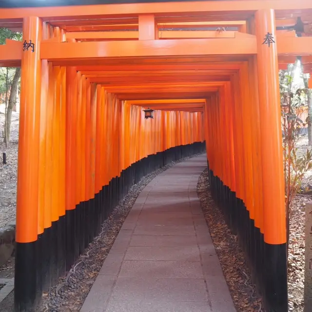 【1度は足を運びたい！伏見稲稲荷大社⛩】