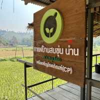 วิสาหกิจชุมชนบ้านสบขุ่น : กาแฟสร้างป่า