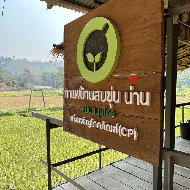 วิสาหกิจชุมชนบ้านสบขุ่น : กาแฟสร้างป่า