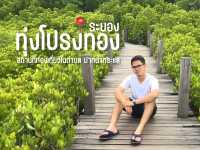 ทุ่งโปรงทอง จ.ระยอง ✨🪴