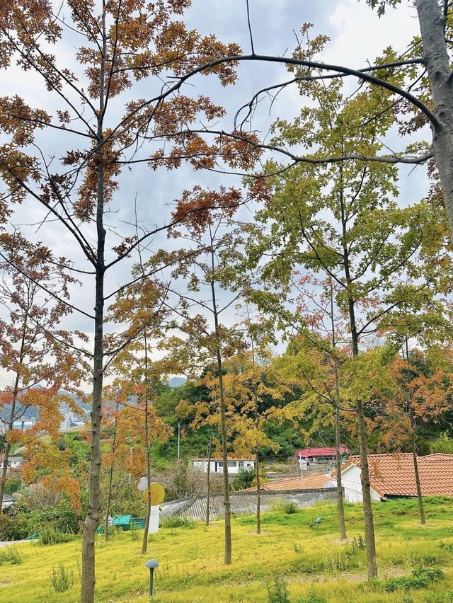 이대로만 따라가도 삼척 여행 성공, 삼척여행코스 모음 Zip✨