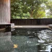 Hotel Stay @Watei Kazekomichi with Private Onsen)