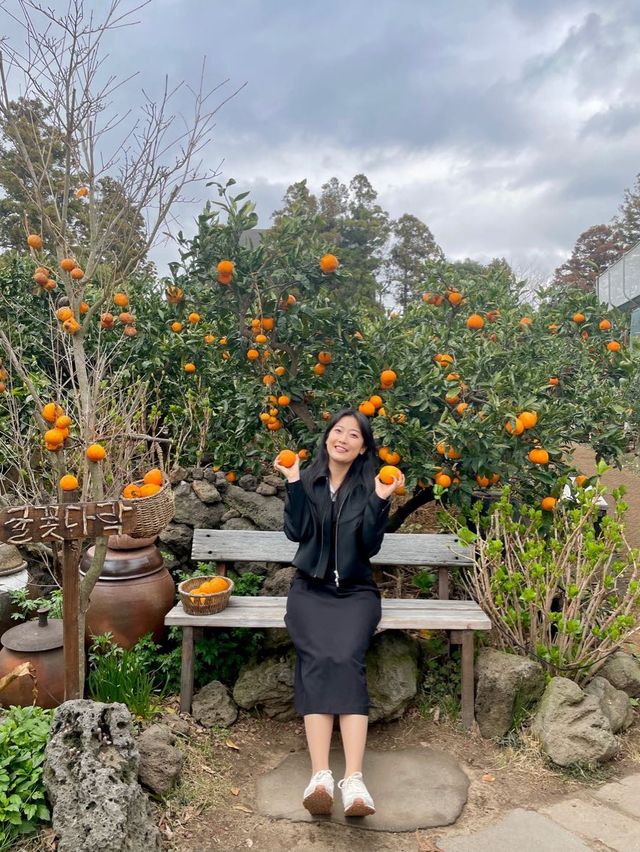 귀여운 귤밭 포토존이 있는 제주 감성 카페 귤꽃다락🍊